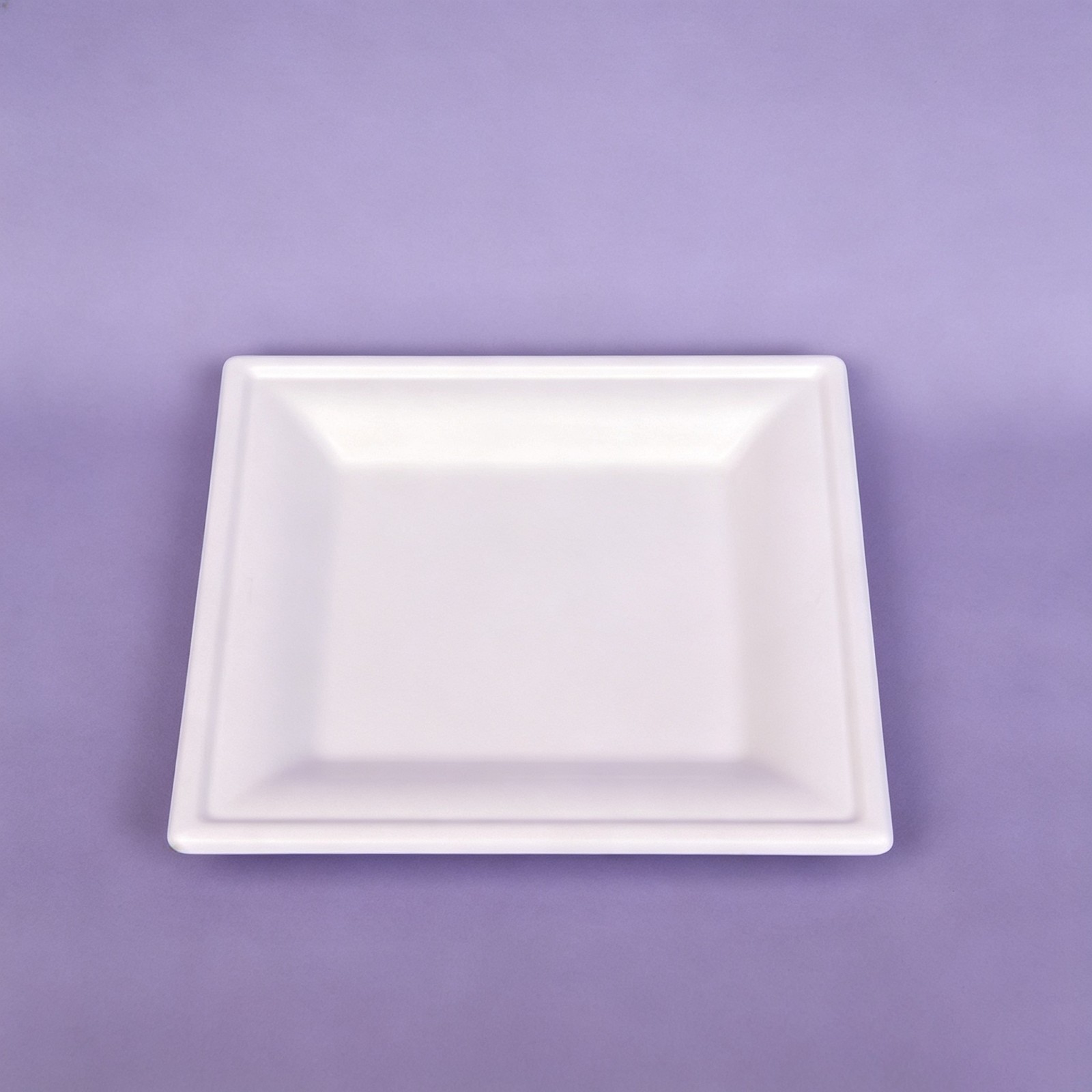 SP03 Plate