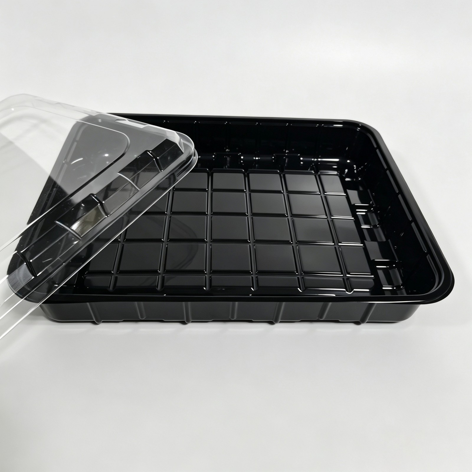 500g Meat Container